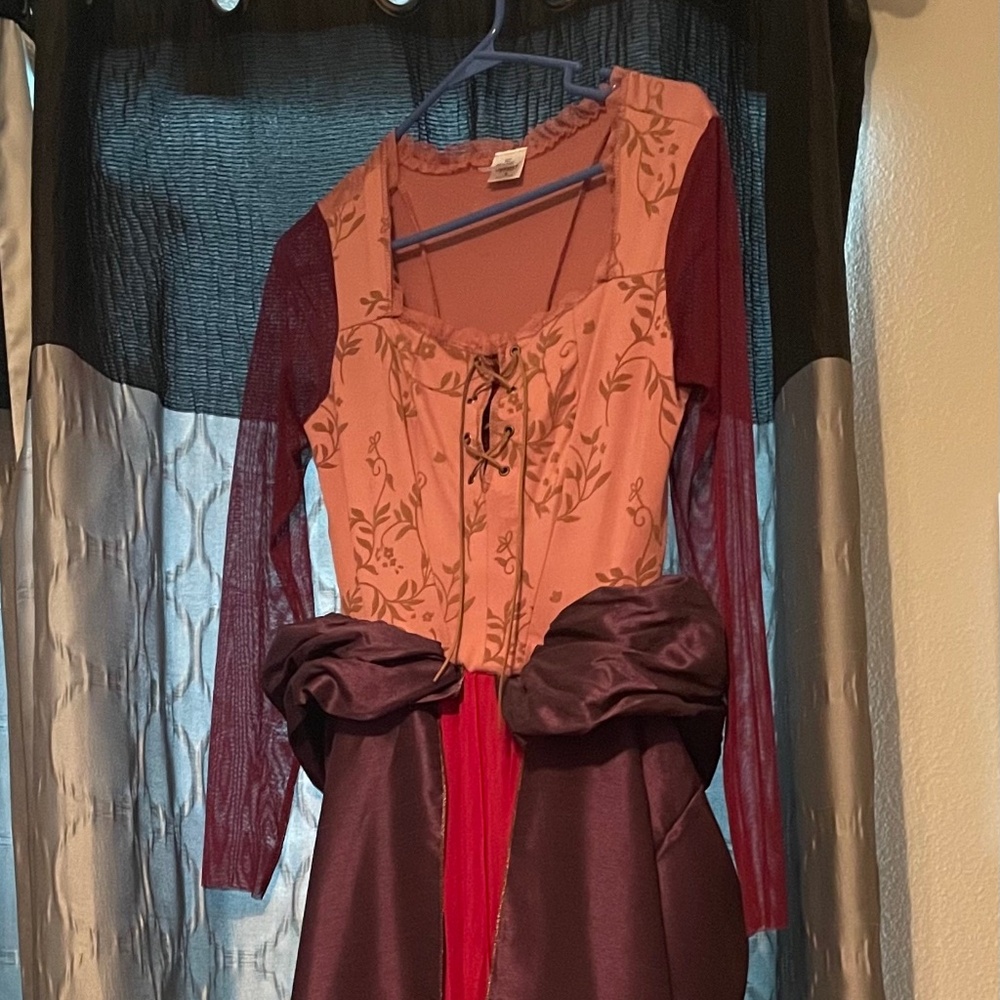Sarah Sanderson Hocus Pocus adult size S dress